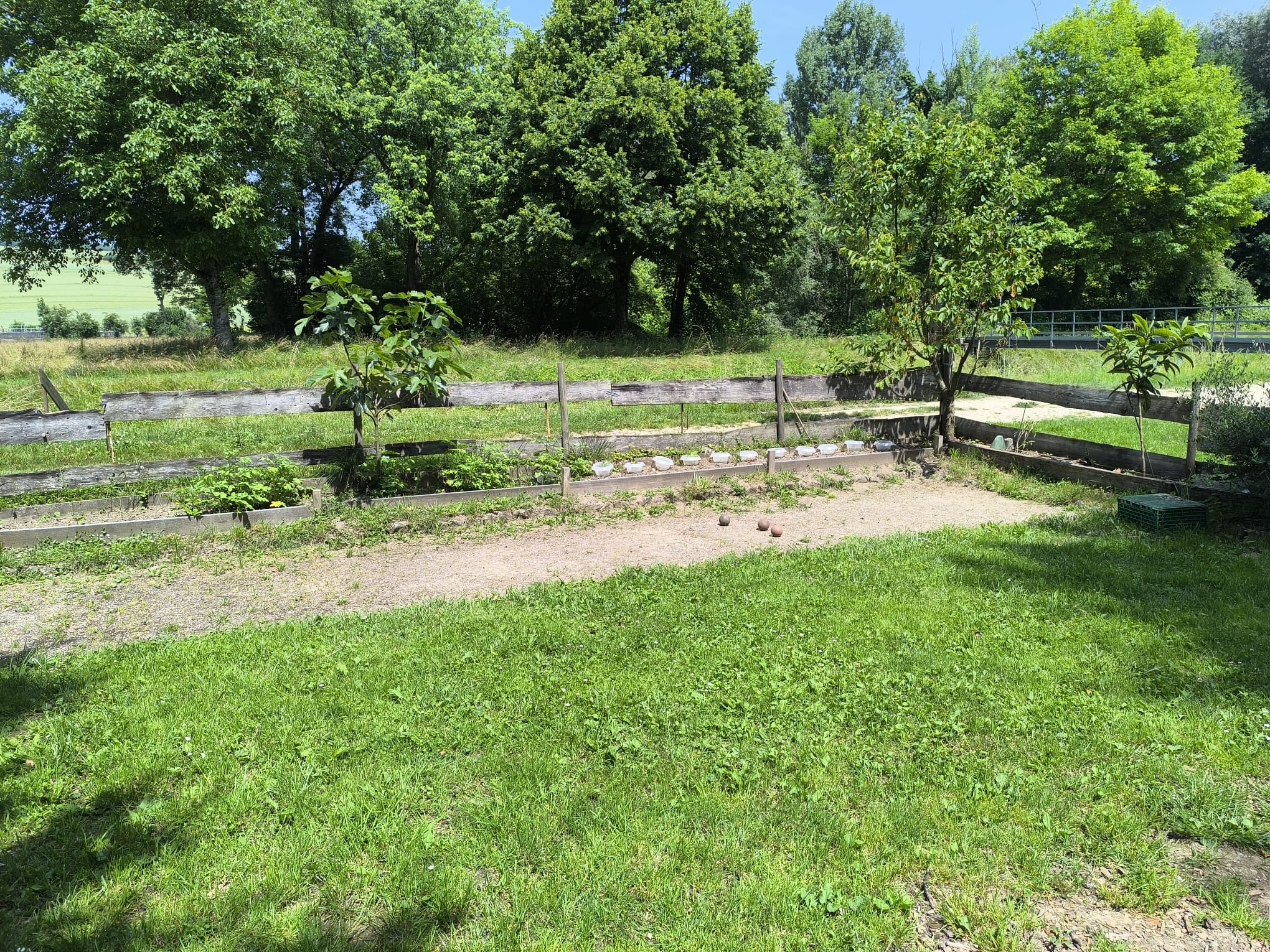Terrain de pétanque